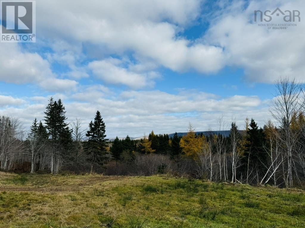1629 Westside Middle River Road, Middle River, Nova Scotia  B0E 1B0 - Photo 6 - 202511663