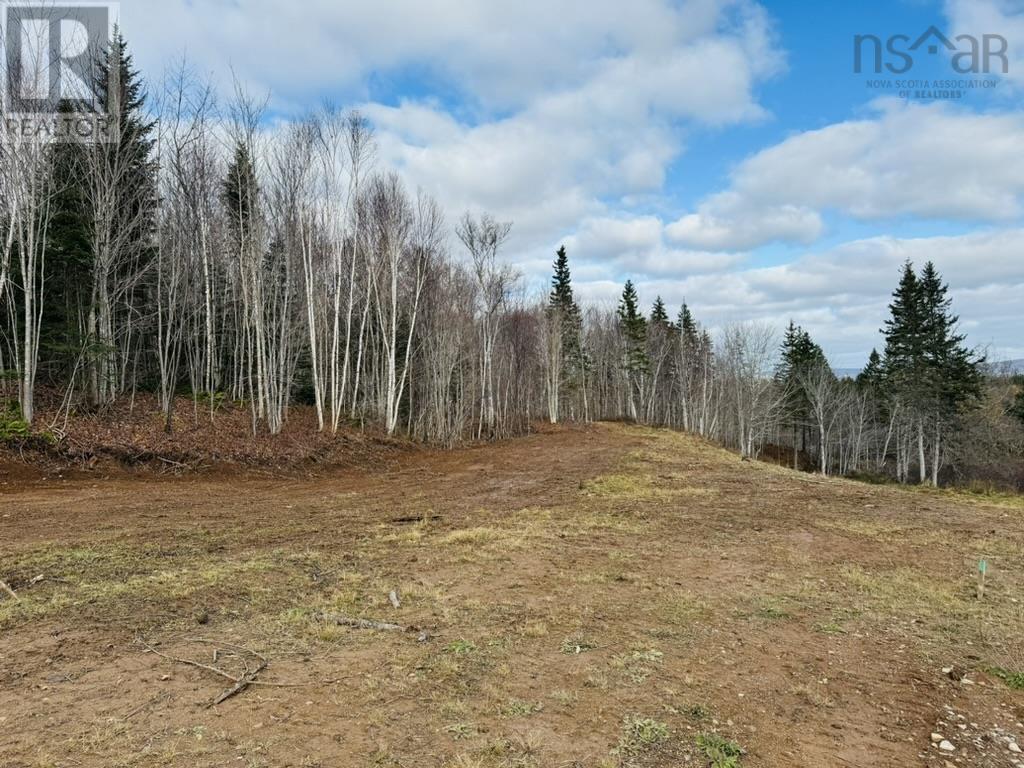 1629 Westside Middle River Road, Middle River, Nova Scotia  B0E 1B0 - Photo 7 - 202511663