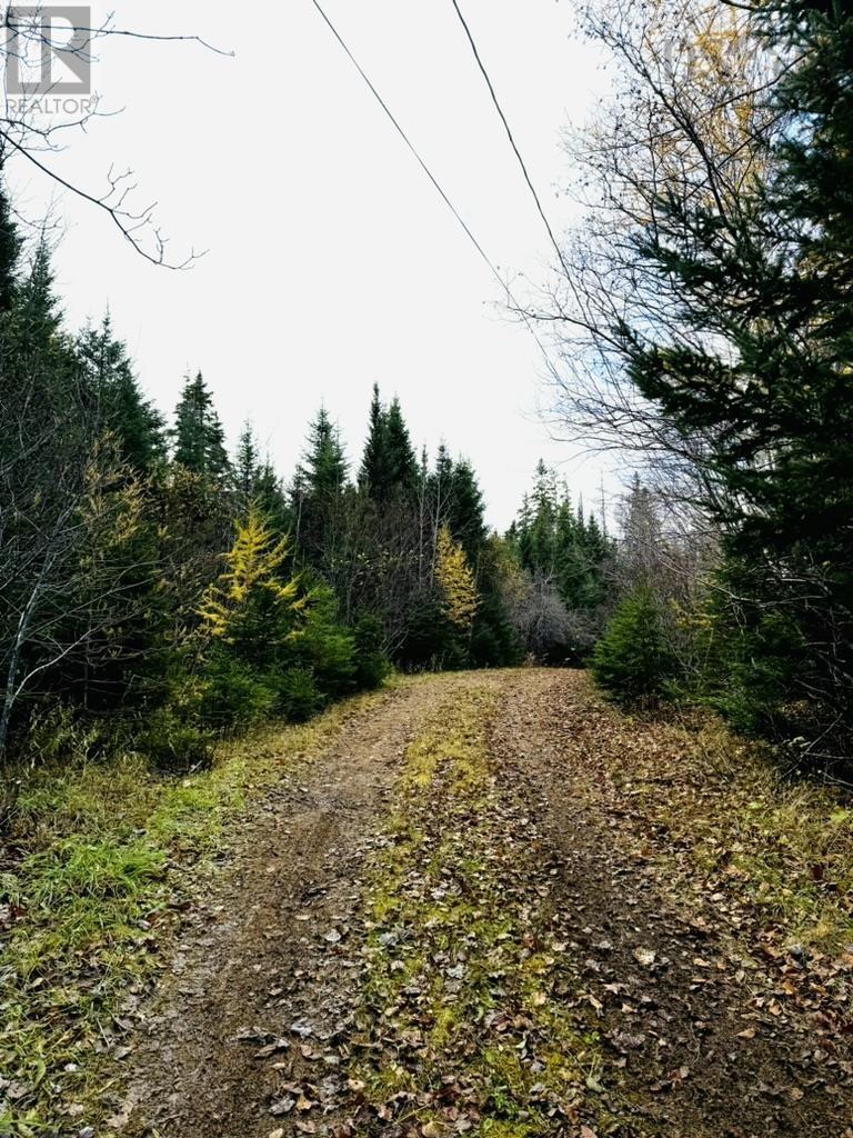 1629 Westside Middle River Road, Middle River, Nova Scotia  B0E 1B0 - Photo 3 - 202511663