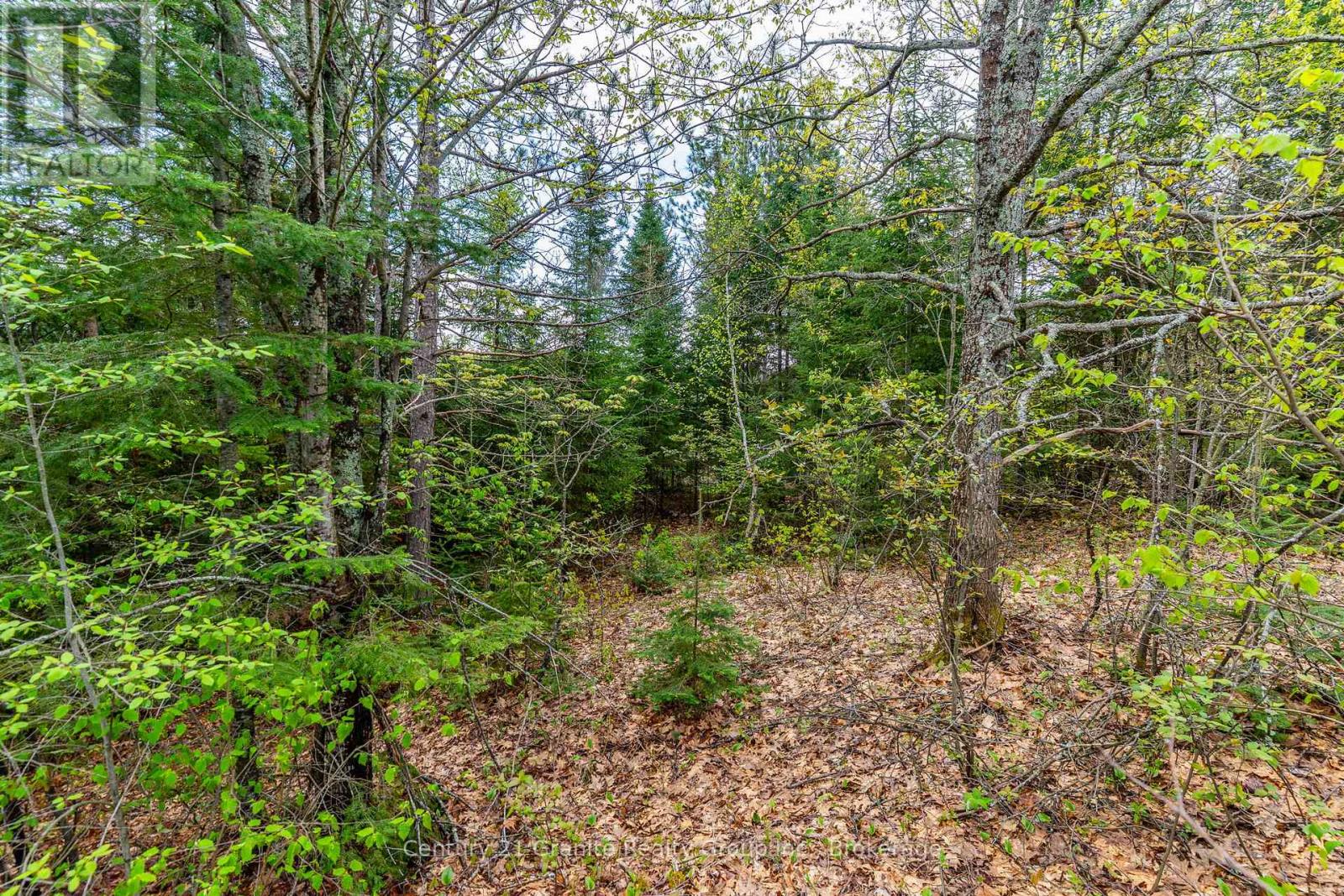 0 Koshlong Lake Road, Dysart Et Al, Ontario  K0M 1S0 - Photo 10 - X12162458