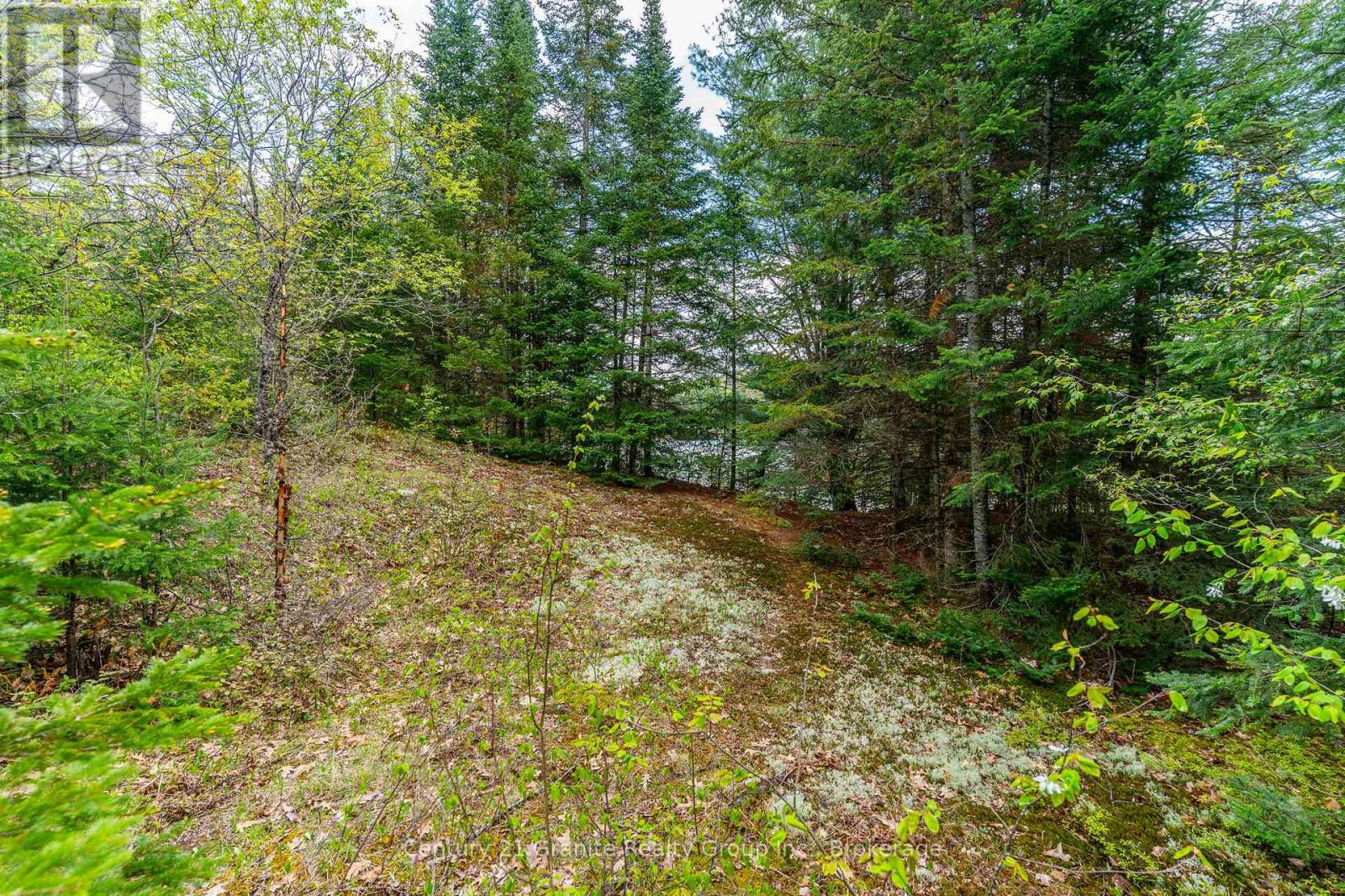0 Koshlong Lake Road, Dysart Et Al, Ontario  K0M 1S0 - Photo 11 - X12162458