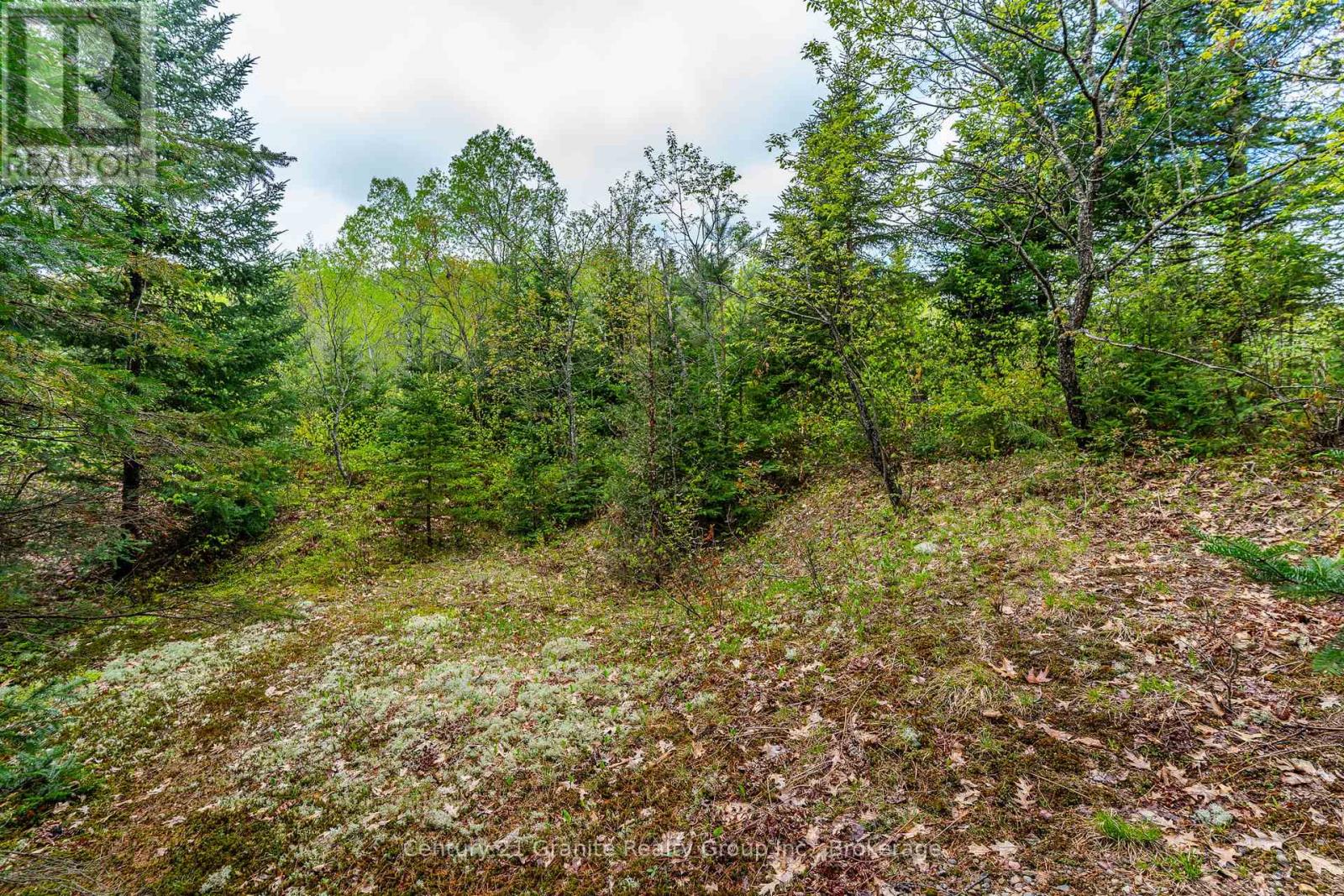 0 Koshlong Lake Road, Dysart Et Al, Ontario  K0M 1S0 - Photo 12 - X12162458