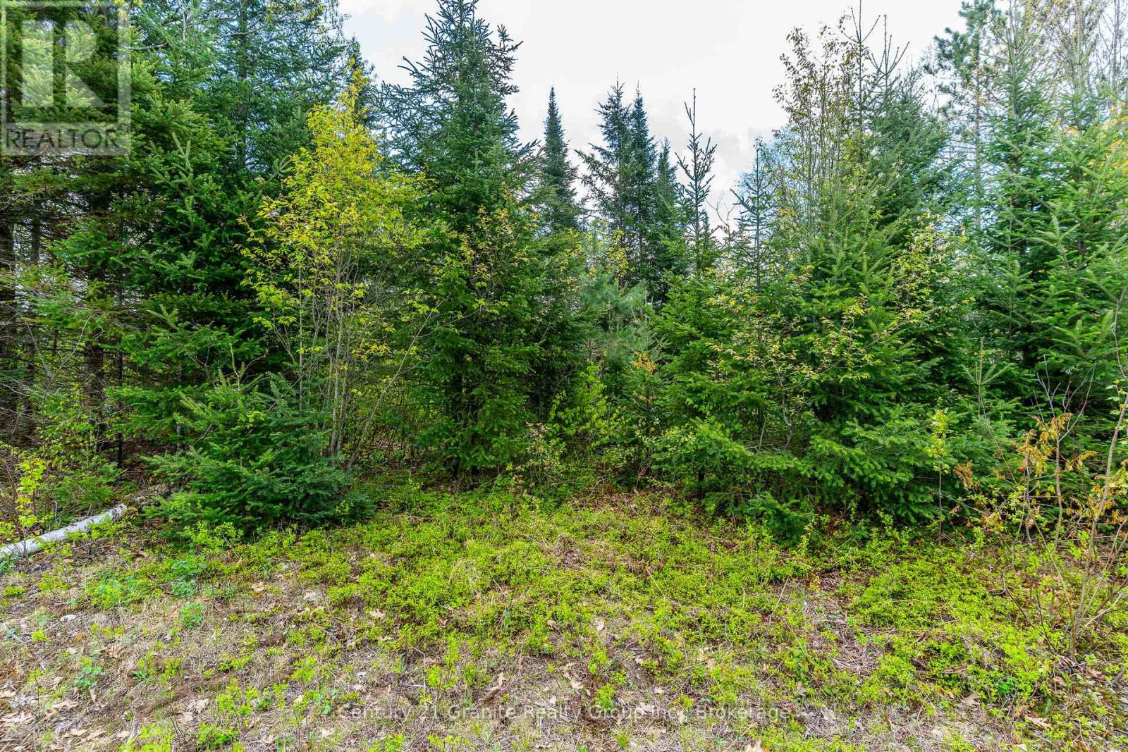 0 Koshlong Lake Road, Dysart Et Al, Ontario  K0M 1S0 - Photo 7 - X12162458