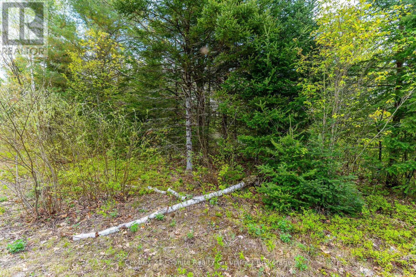 0 Koshlong Lake Road, Dysart Et Al, Ontario  K0M 1S0 - Photo 8 - X12162458