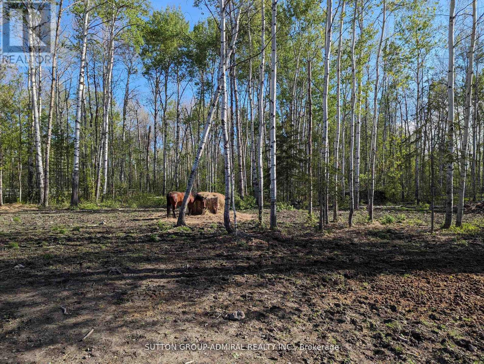 227005 Brentha Road, Englehart (Central Timiskaming), Ontario  P0J 1H0 - Photo 7 - T12162154
