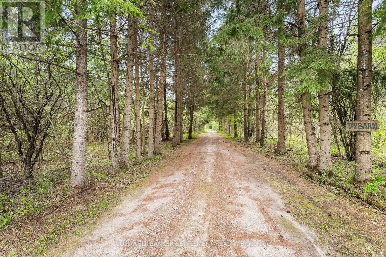 142 Leonard Side Road, Tay Valley, Ontario  K7H 3C6 - Photo 5 - X12162543