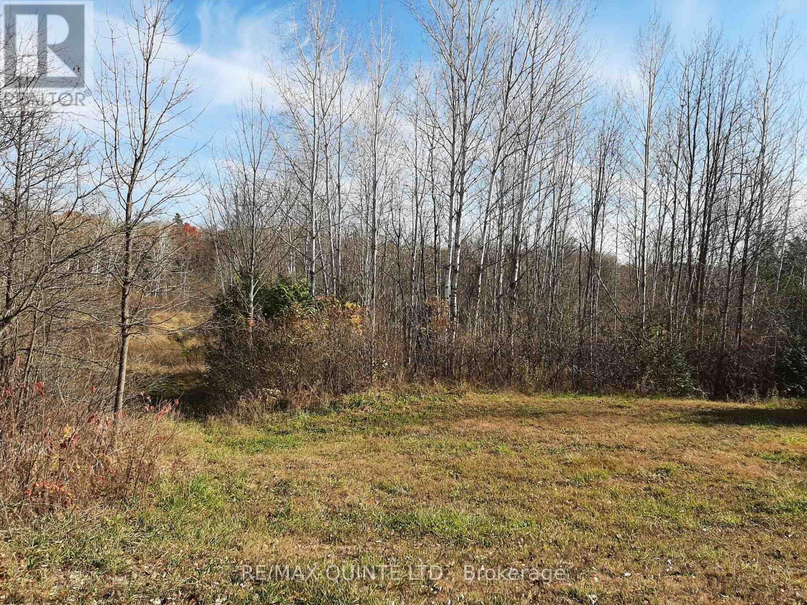 1578 Cooper Road, Madoc, Ontario  K0K 2K0 - Photo 32 - X12108705