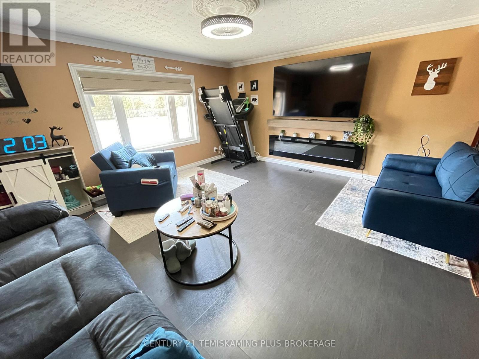487611 Aidie Creek Garden Road, Englehart, Ontario  P0J 1H0 - Photo 16 - T12162690