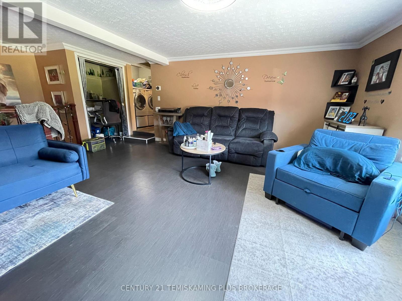 487611 Aidie Creek Garden Road, Englehart, Ontario  P0J 1H0 - Photo 17 - T12162690