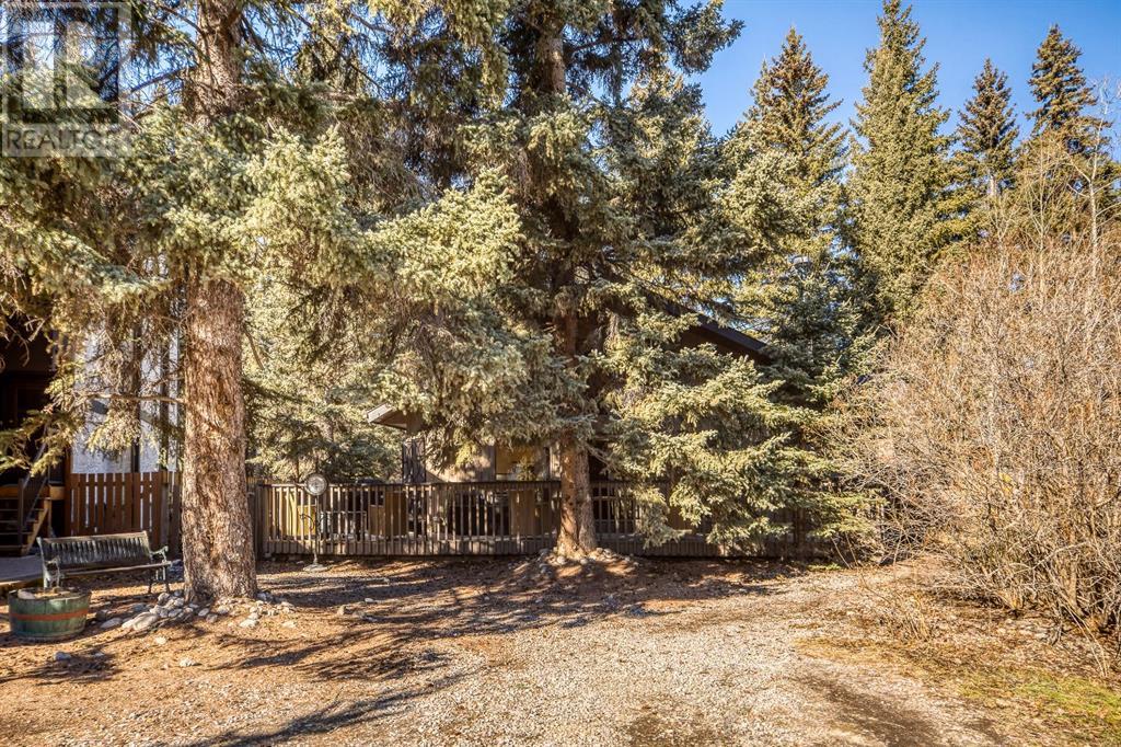 20 Pinewood Crescent, Canmore, Alberta  T1W 1P8 - Photo 37 - A2199487