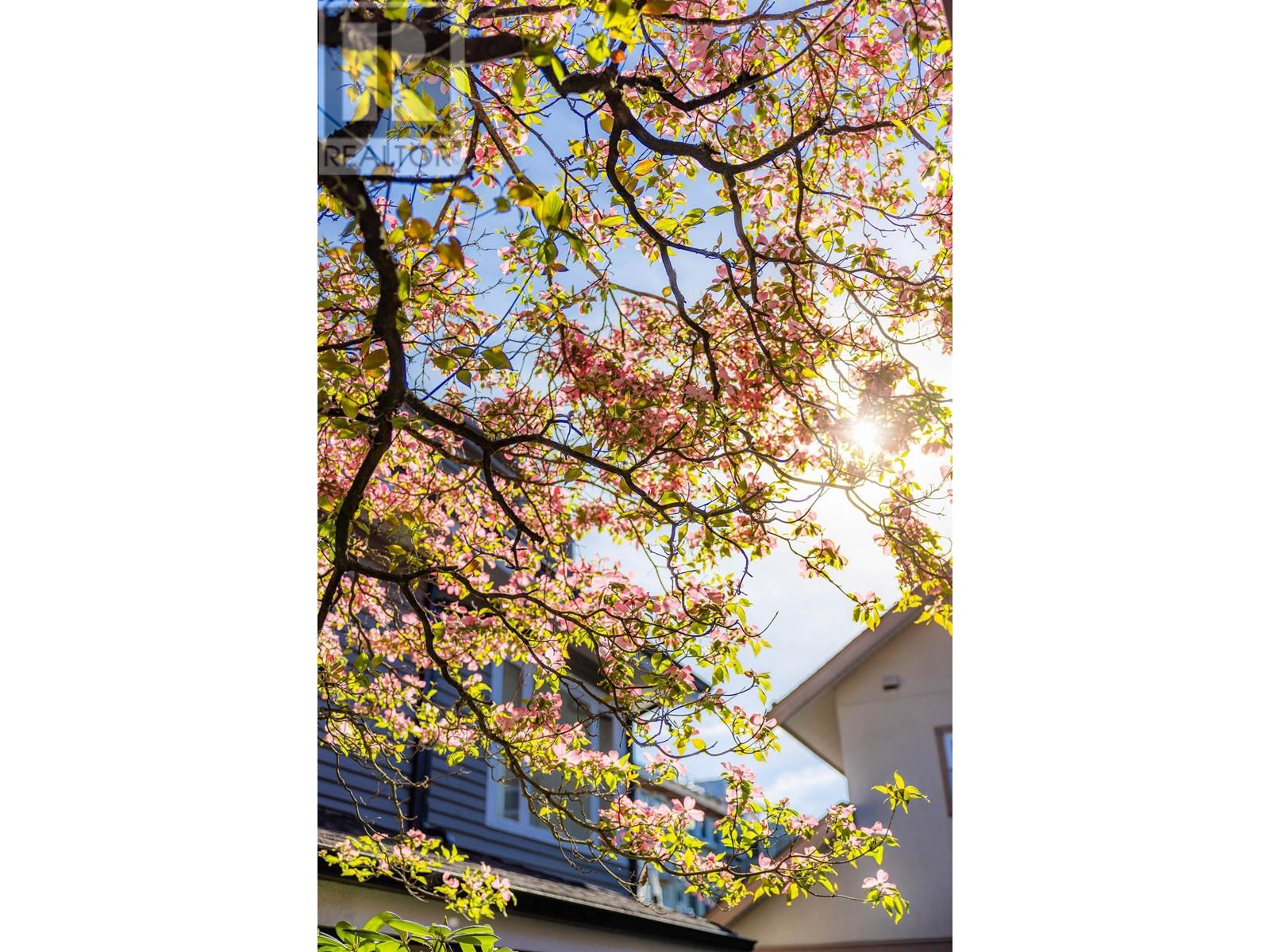 1975 Stephens Street, Vancouver, British Columbia  V6K 4M7 - Photo 5 - R3005193