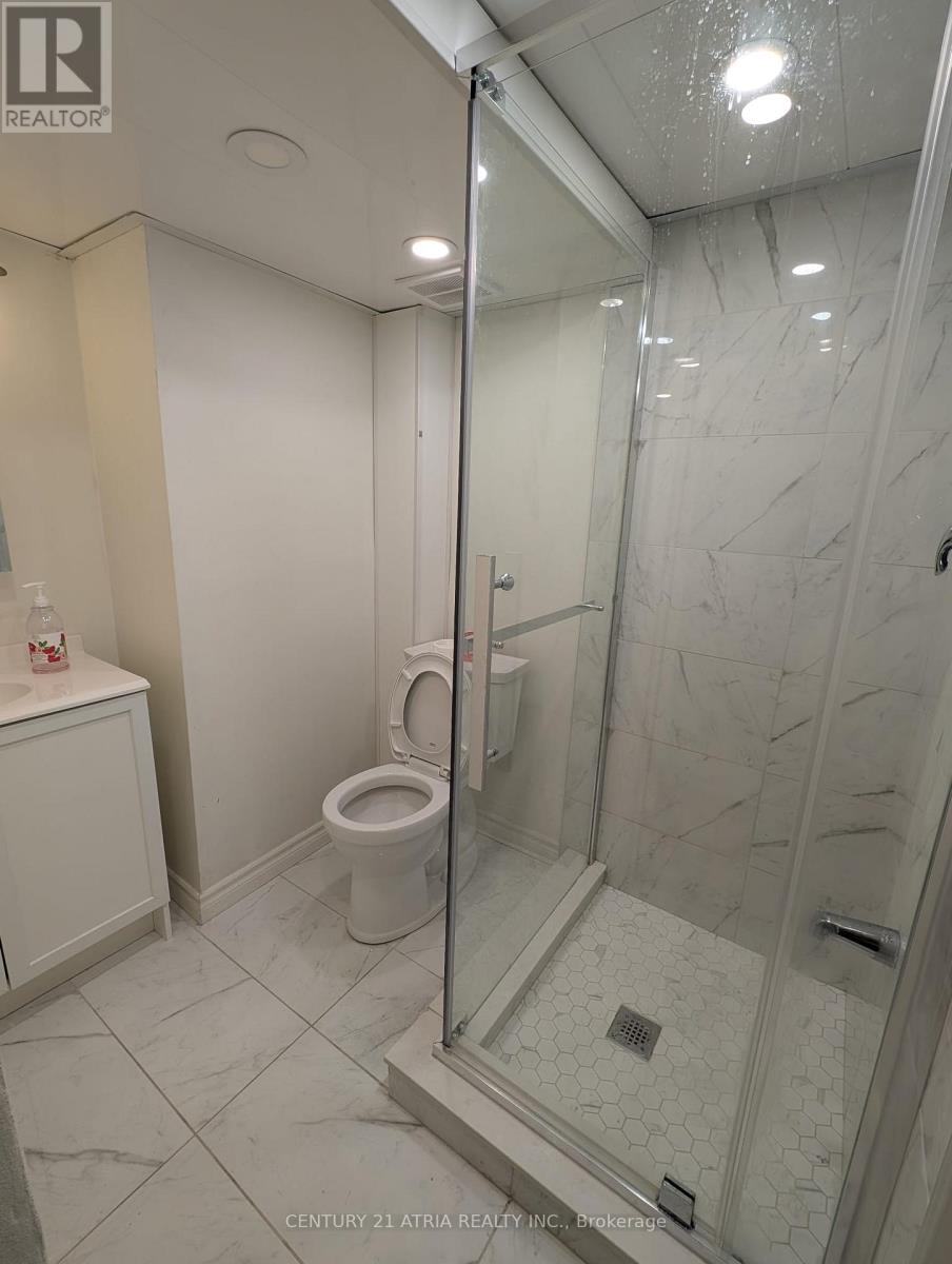 Bsmt 1 - 38 Harding Boulevard, Richmond Hill (Harding), Ontario  L4C 1S8 - Photo 8 - N12162482