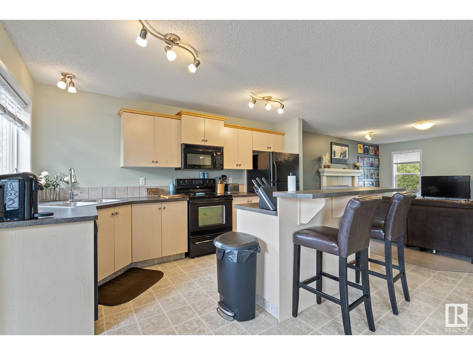 12003 19 Av Sw, Edmonton, Alberta  T6W 1W5 - Photo 10 - E4437589