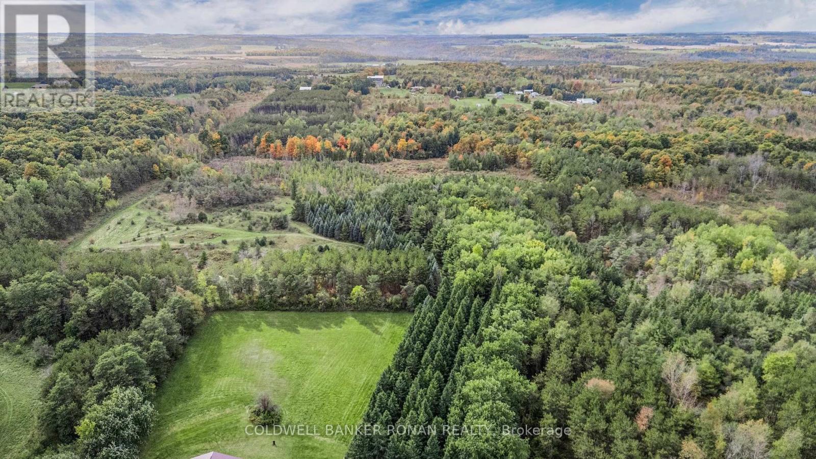 836138 4th Line E, Mulmur, Ontario  L9V 0J1 - Photo 50 - X12122803