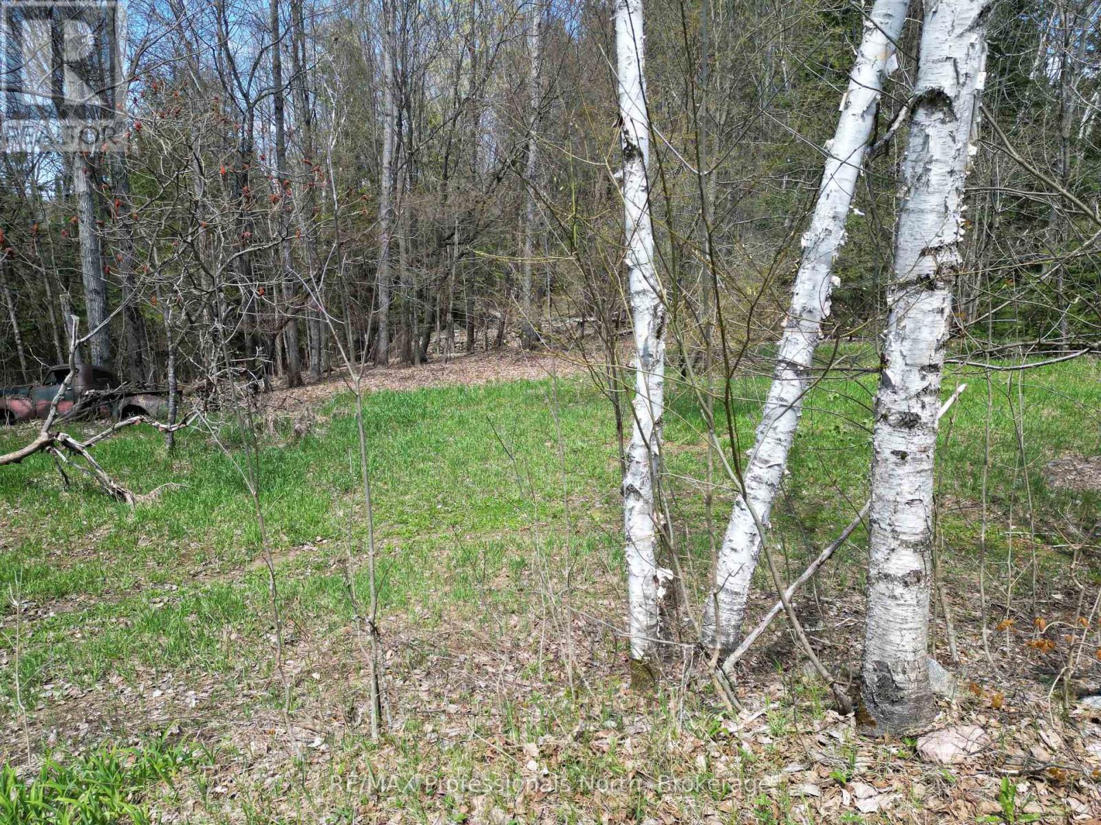 2693 County Road 21, Minden Hills, Ontario  K0M 2K0 - Photo 30 - X12162802