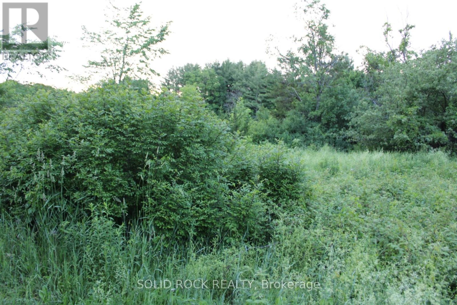133 Webster Road, Leeds And The Thousand Islands, Ontario  K0E 1N0 - Photo 11 - X12163002