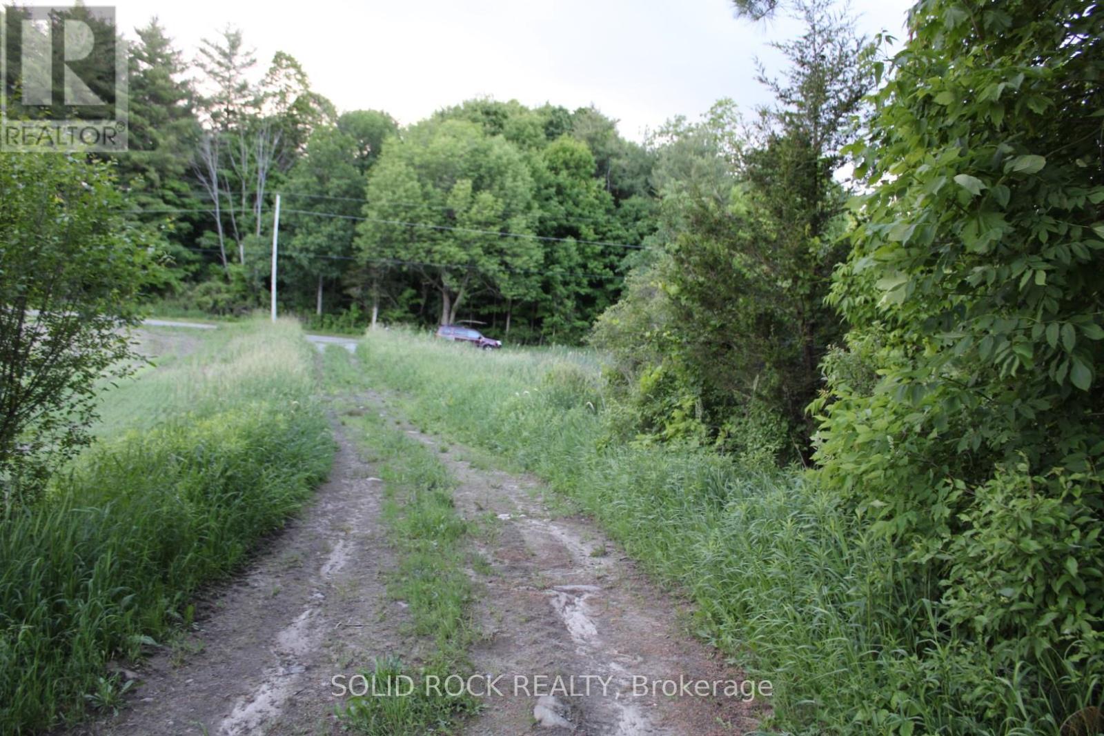 Property at 133 WEBSTER ROAD image 2