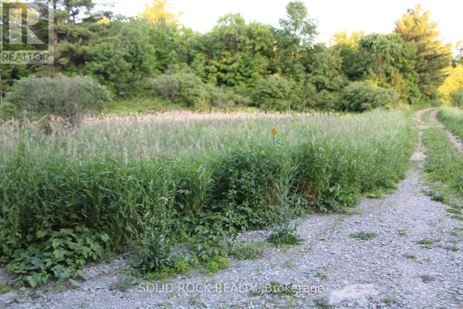 133 Webster Road, Leeds And The Thousand Islands, Ontario  K0E 1N0 - Photo 29 - X12163002