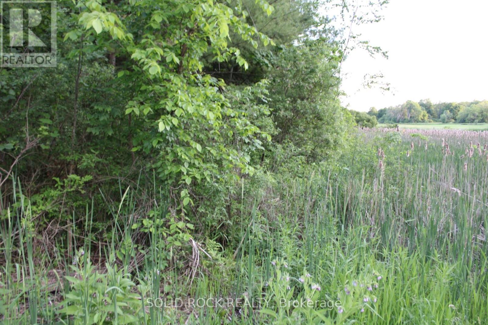 133 Webster Road, Leeds And The Thousand Islands, Ontario  K0E 1N0 - Photo 31 - X12163002
