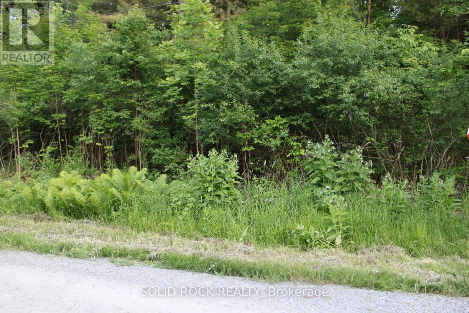133 Webster Road, Leeds And The Thousand Islands, Ontario  K0E 1N0 - Photo 32 - X12163002