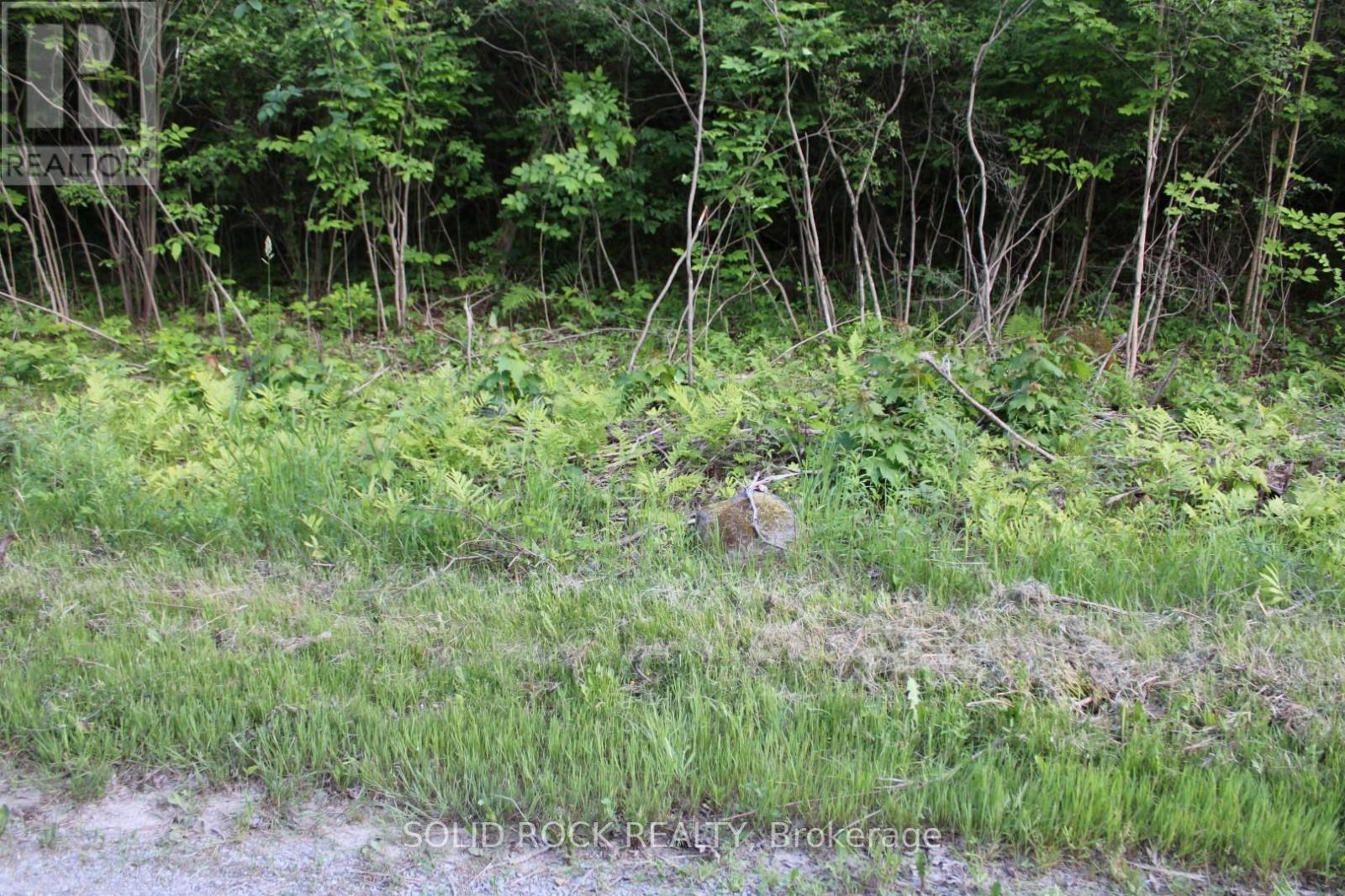 133 Webster Road, Leeds And The Thousand Islands, Ontario  K0E 1N0 - Photo 35 - X12163002