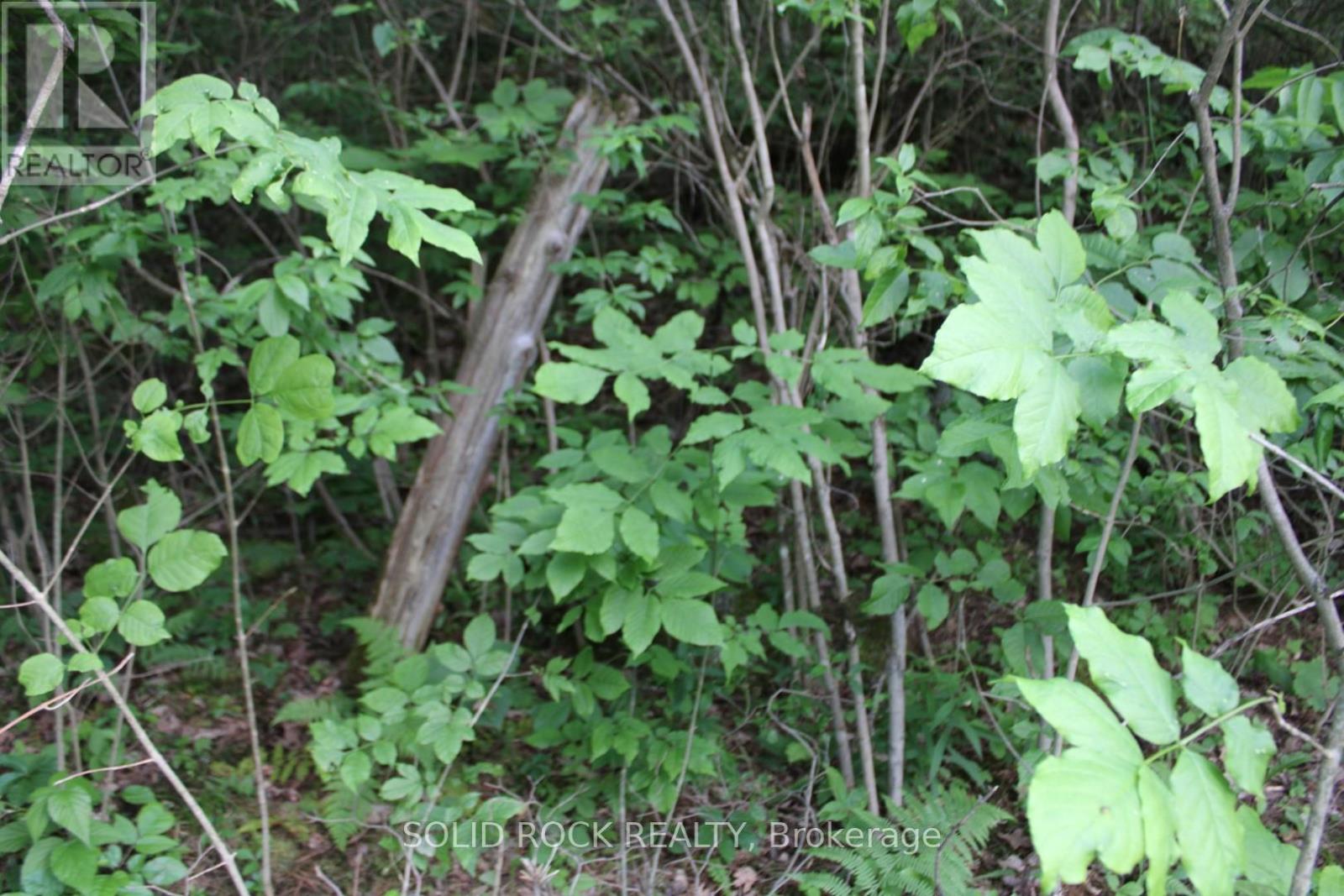 133 Webster Road, Leeds And The Thousand Islands, Ontario  K0E 1N0 - Photo 36 - X12163002