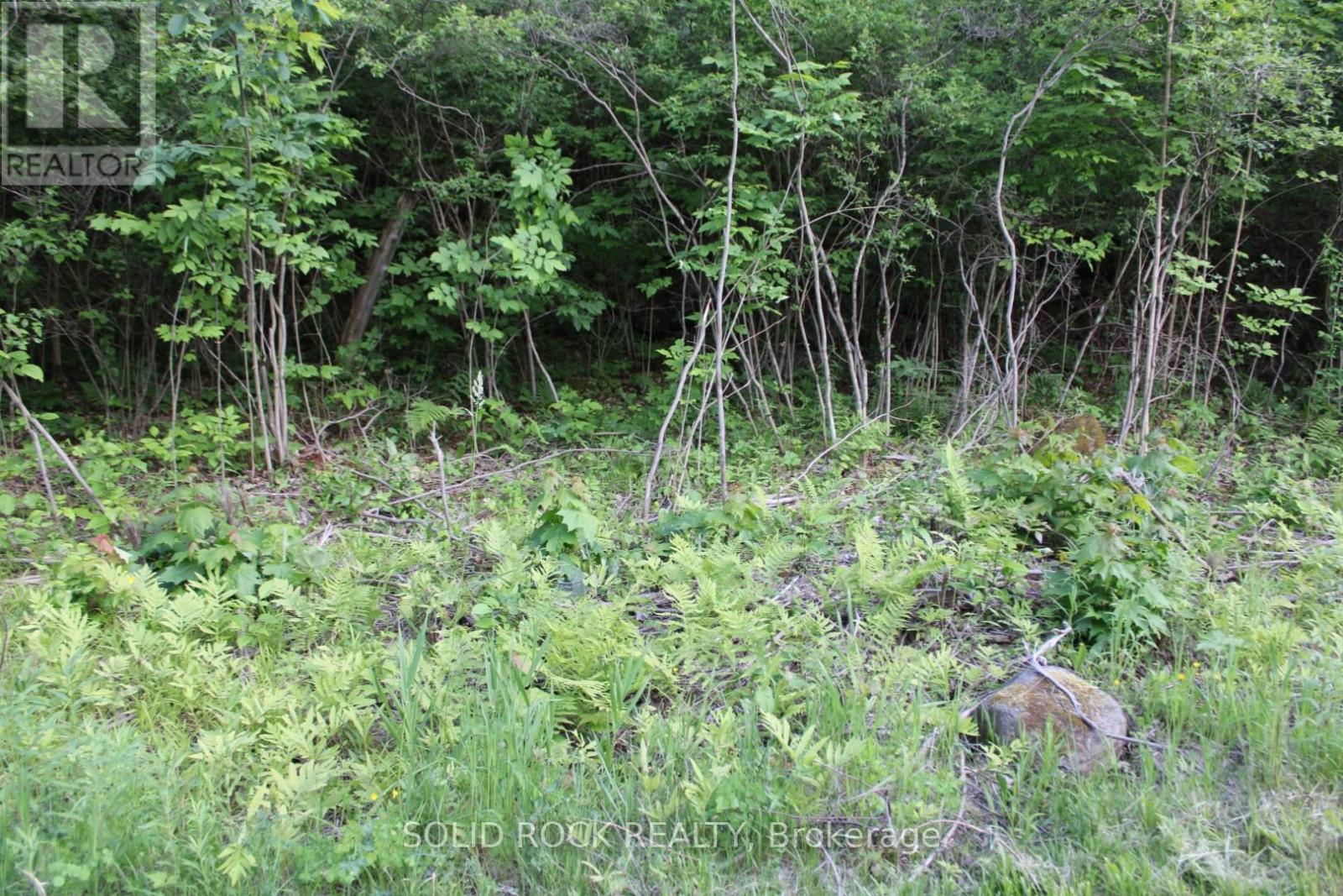 133 Webster Road, Leeds And The Thousand Islands, Ontario  K0E 1N0 - Photo 37 - X12163002