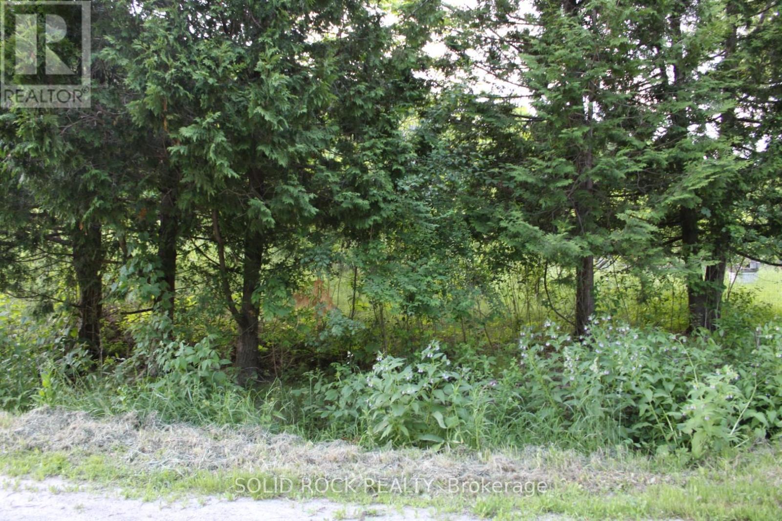 133 Webster Road, Leeds And The Thousand Islands, Ontario  K0E 1N0 - Photo 41 - X12163002