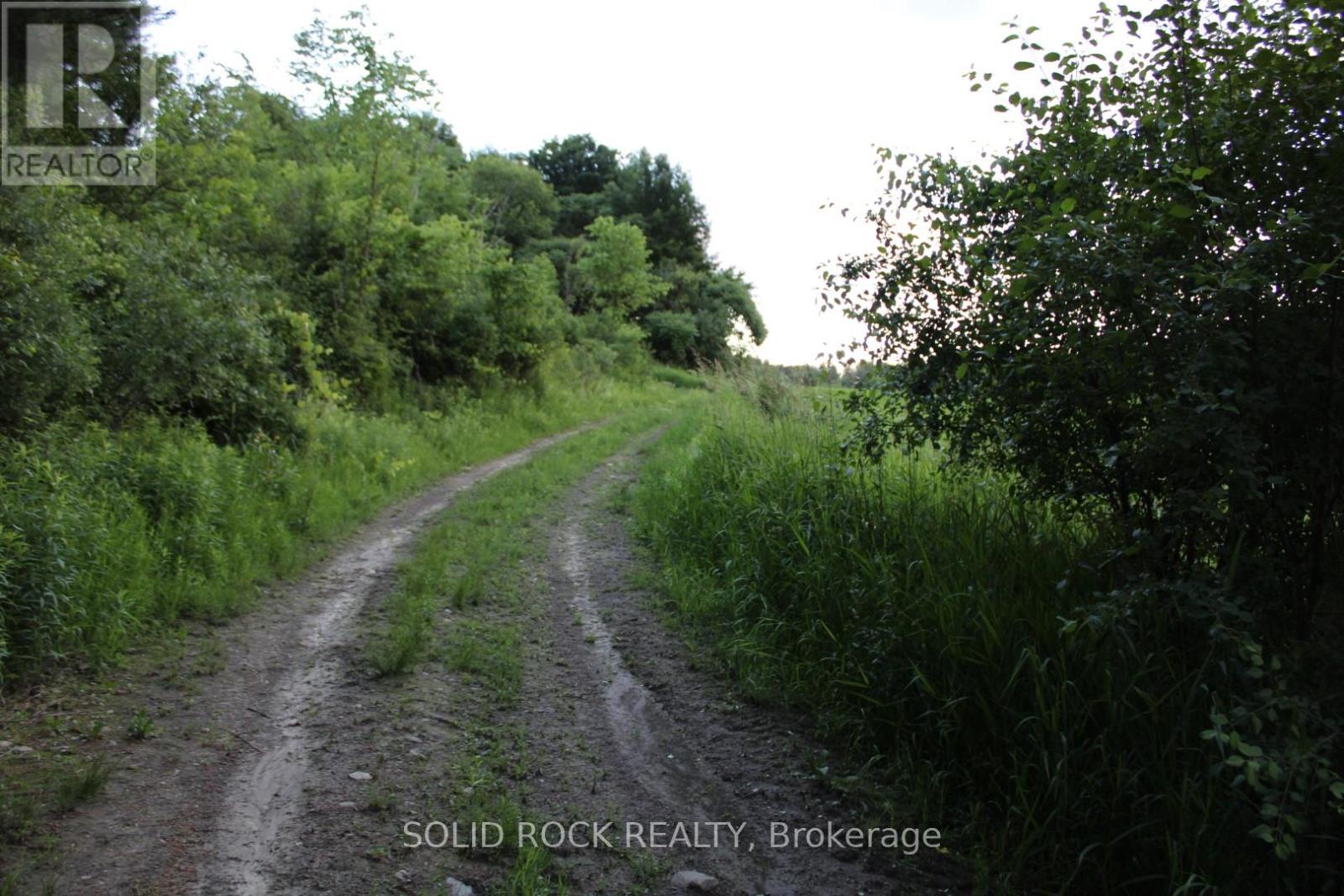 Property at 133 WEBSTER ROAD image 5
