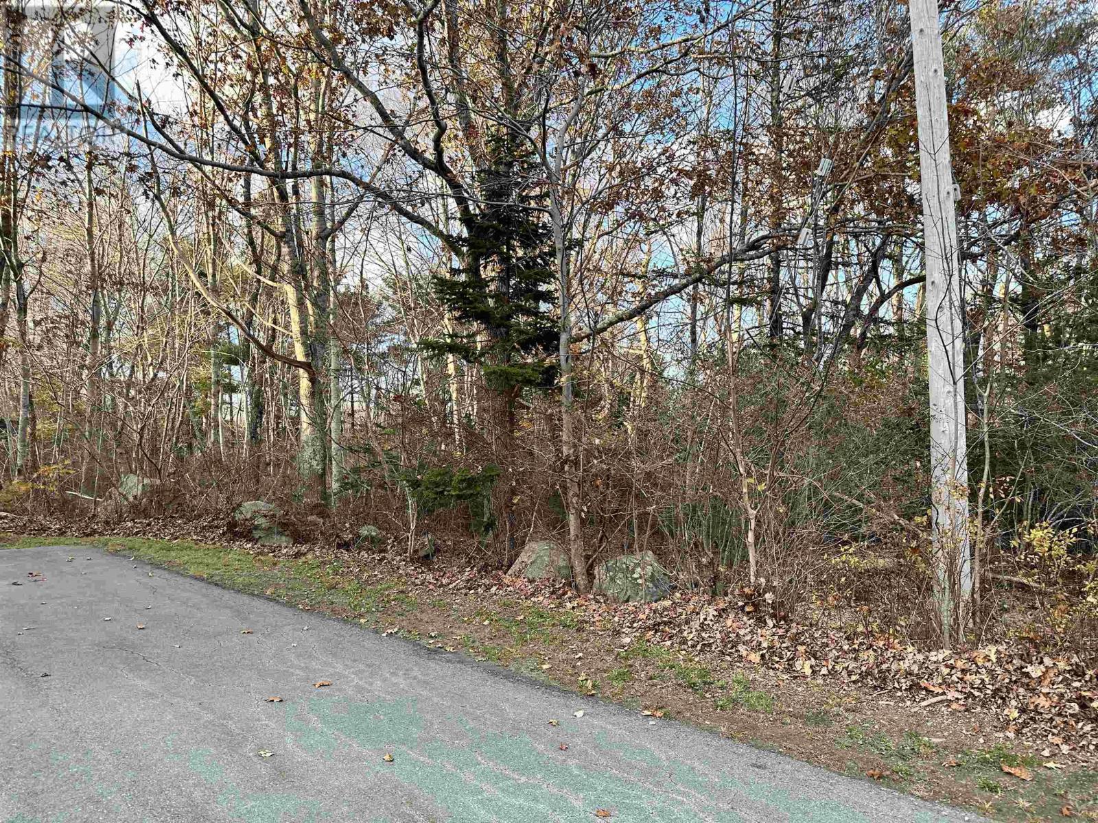 Property at Lot PID#70017504 Common Street image 5