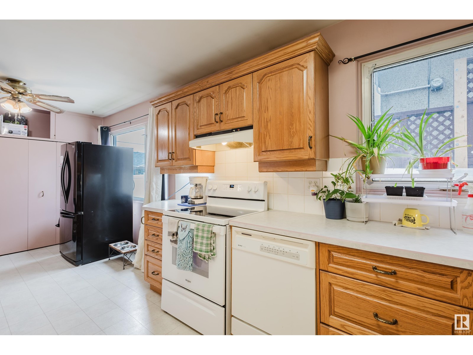 13207 131a Av Nw, Edmonton, Alberta  T5L 3P1 - Photo 8 - E4437604