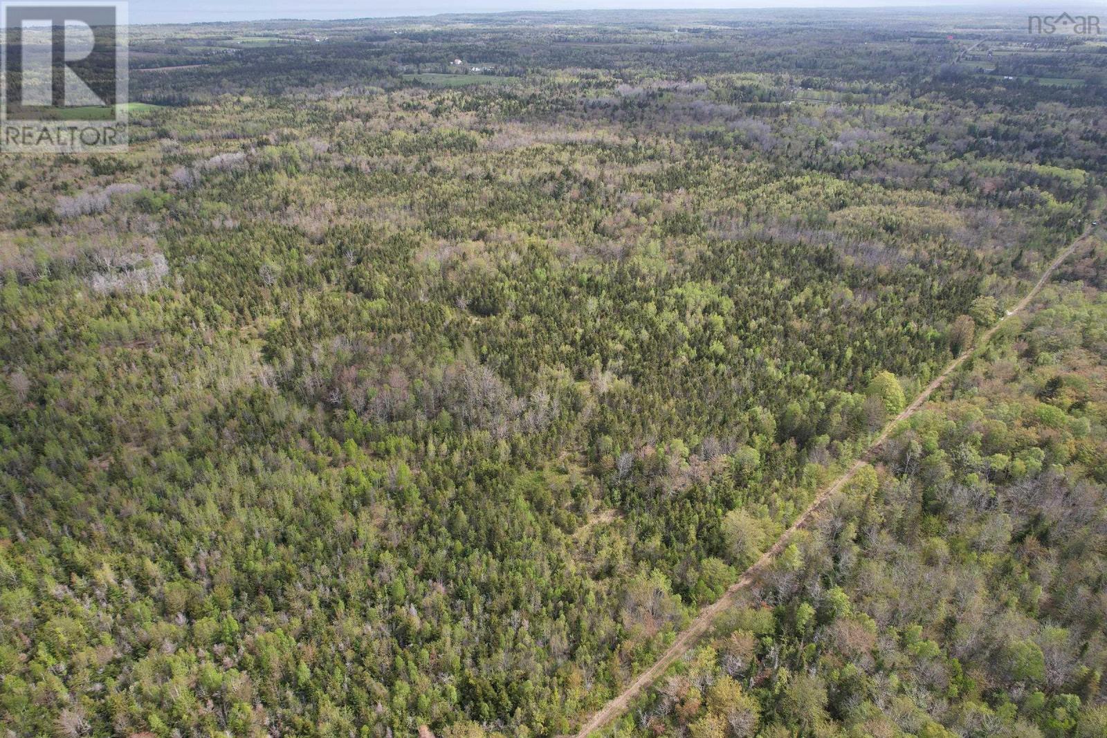 Lot Gould Road, Burlington, Nova Scotia  B0P 1E0 - Photo 4 - 202511781