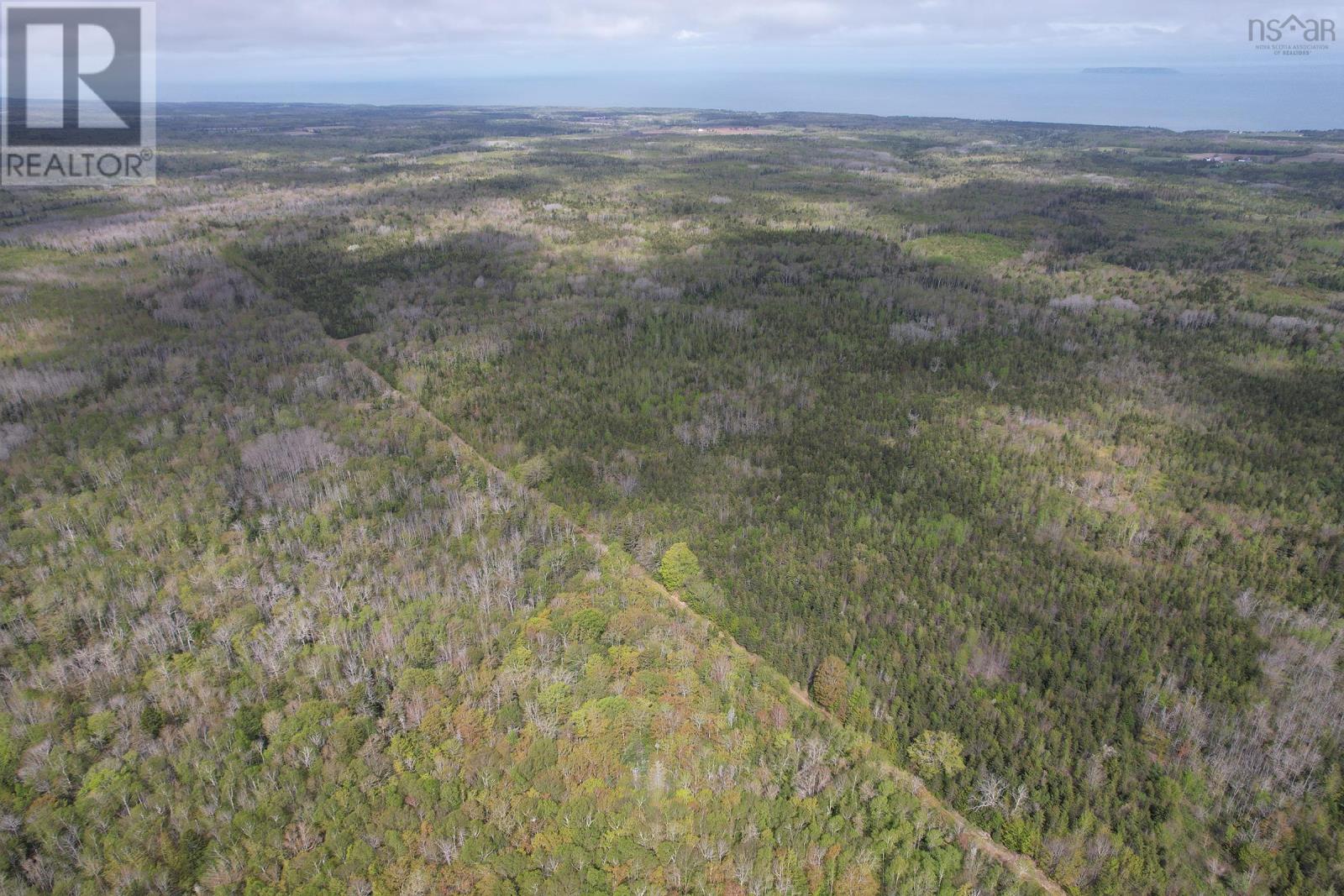 Lot Gould Road, Burlington, Nova Scotia  B0P 1E0 - Photo 3 - 202511781