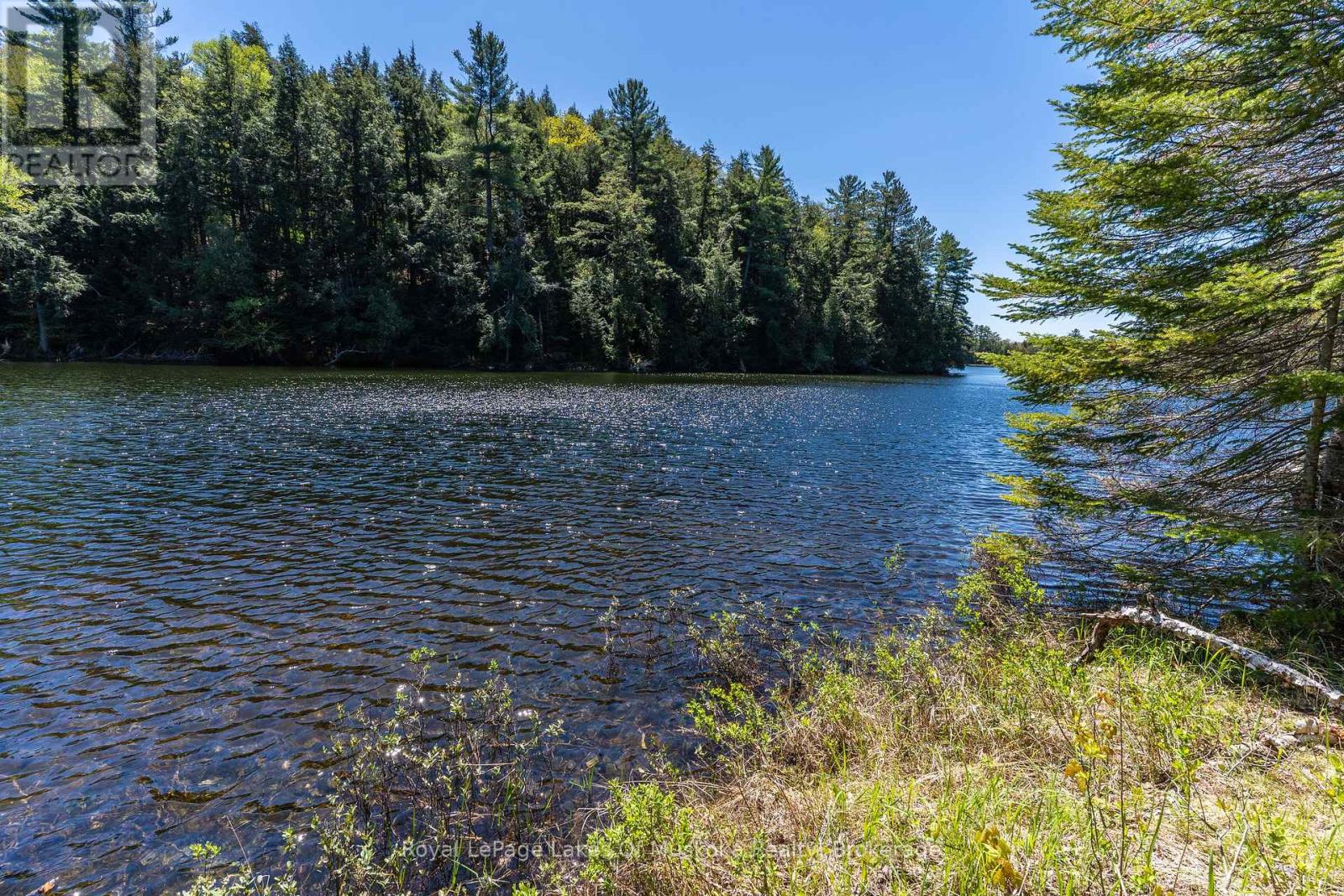 1143 Crane Lake Drive, Algonquin Highlands, Ontario  P0A 1E0 - Photo 12 - X12163224