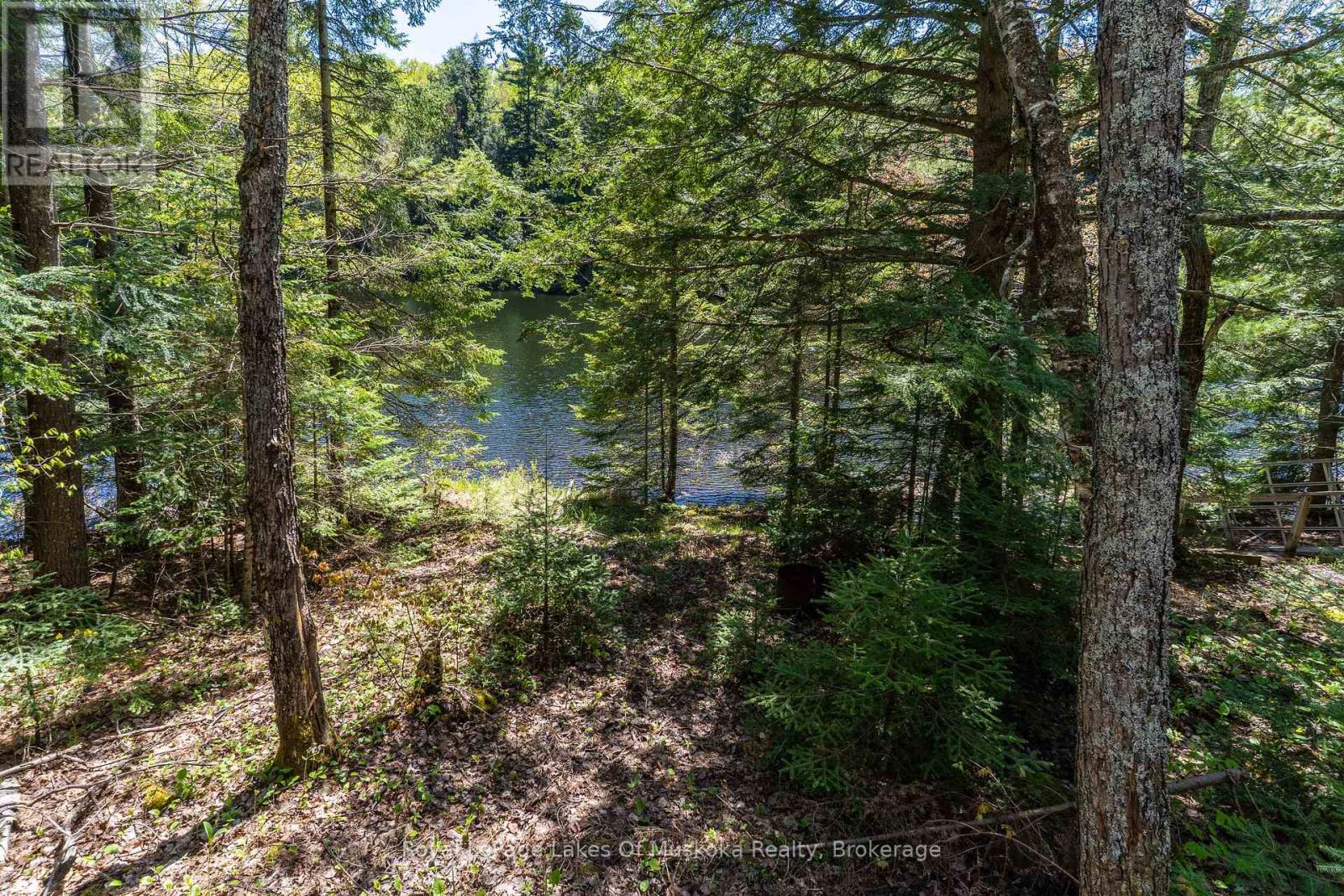 1143 Crane Lake Drive, Algonquin Highlands, Ontario  P0A 1E0 - Photo 25 - X12163224