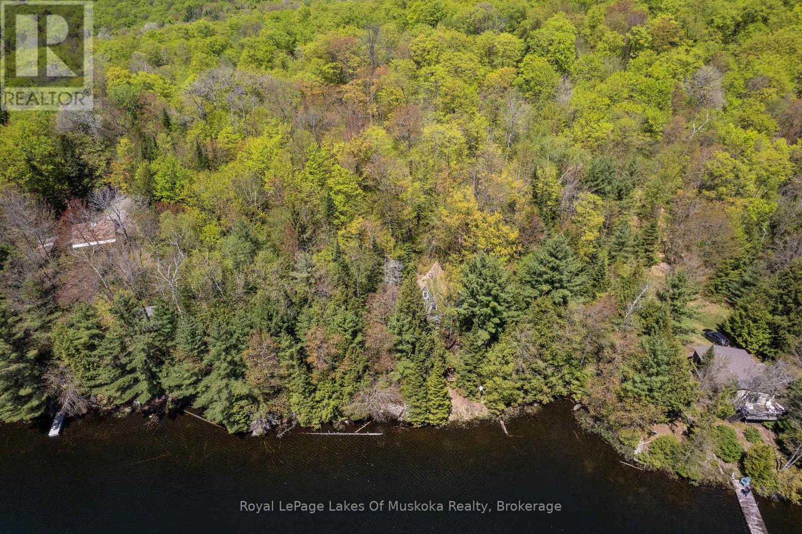 1143 Crane Lake Drive, Algonquin Highlands, Ontario  P0A 1E0 - Photo 31 - X12163224