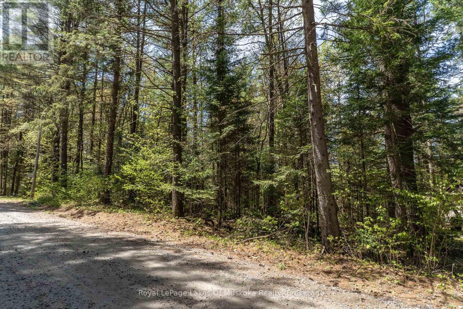 645 Balsam Chutes Road, Huntsville, Ontario  P0B 1L0 - Photo 2 - X12163226