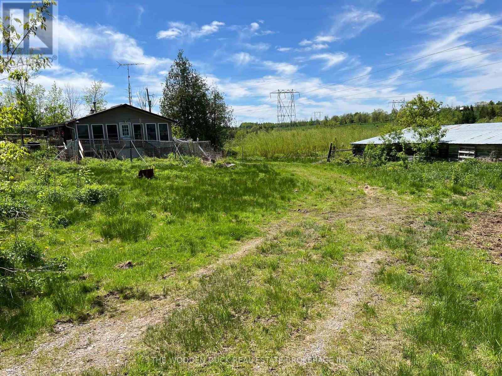 1970 River Road, Otonabee-South Monaghan, Ontario  K0L 2B0 - Photo 39 - X12163274