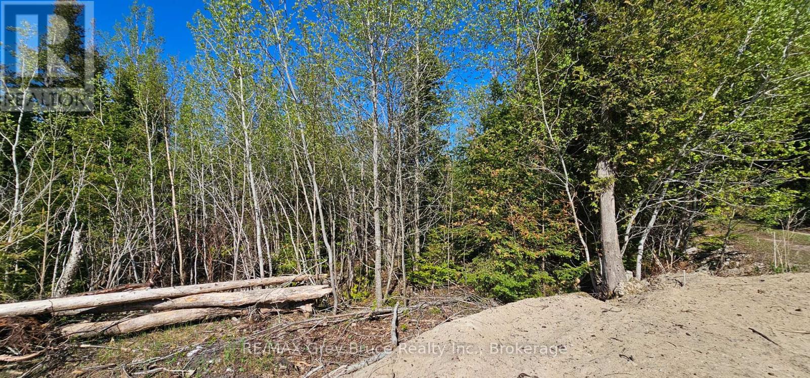 Plan 3m Walter Charman Drive, Northern Bruce Peninsula, Ontario  N0H 2M0 - Photo 18 - X12155872