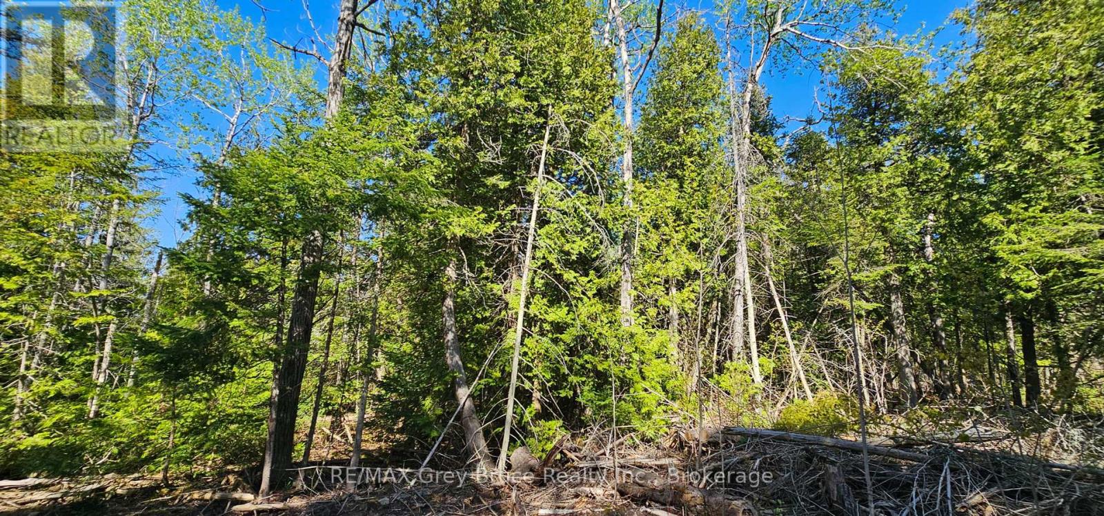 Plan 3m Walter Charman Drive, Northern Bruce Peninsula, Ontario  N0H 2M0 - Photo 28 - X12155872