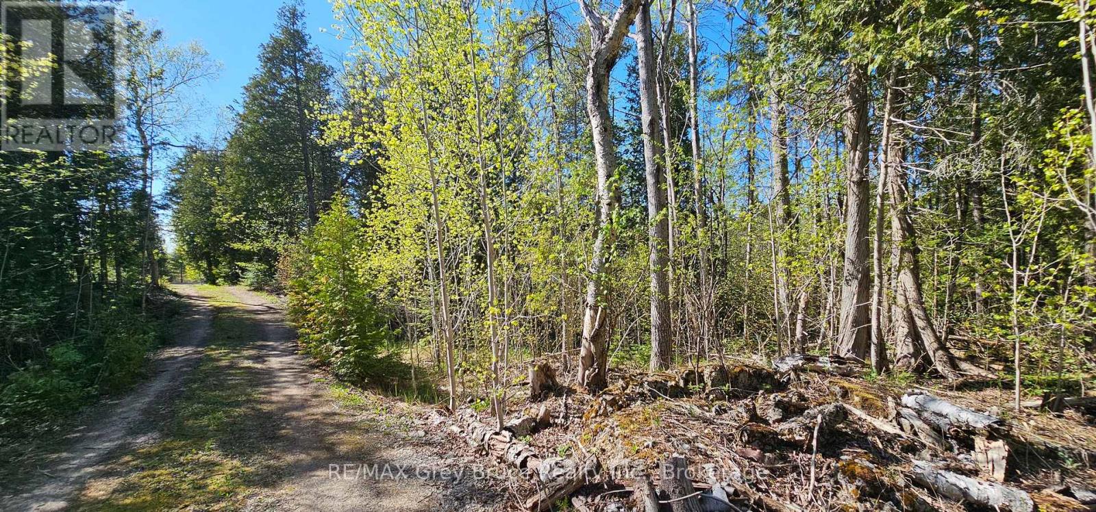 Plan 3m Walter Charman Drive, Northern Bruce Peninsula, Ontario  N0H 2M0 - Photo 22 - X12155872