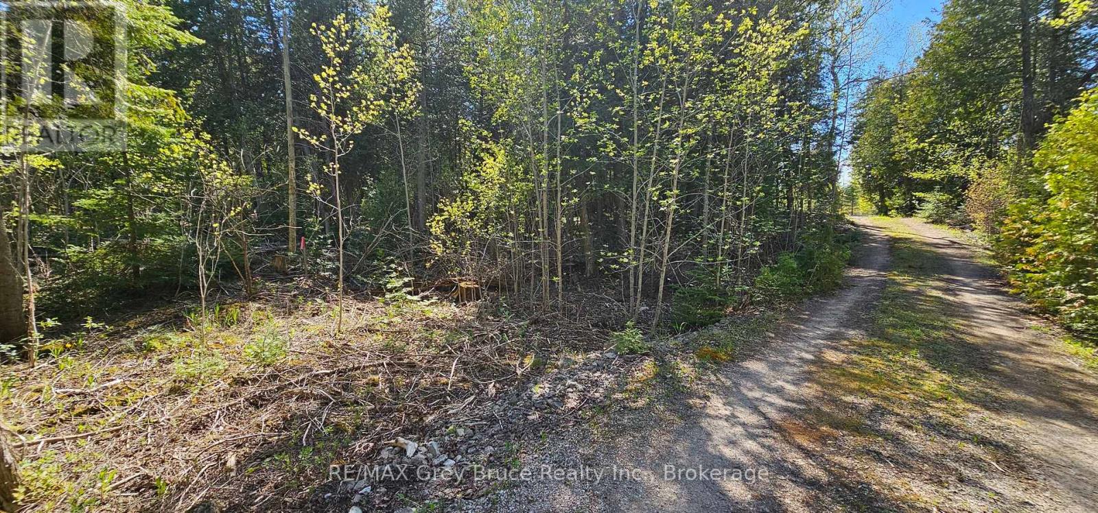 Plan 3m Walter Charman Drive, Northern Bruce Peninsula, Ontario  N0H 2M0 - Photo 21 - X12155872