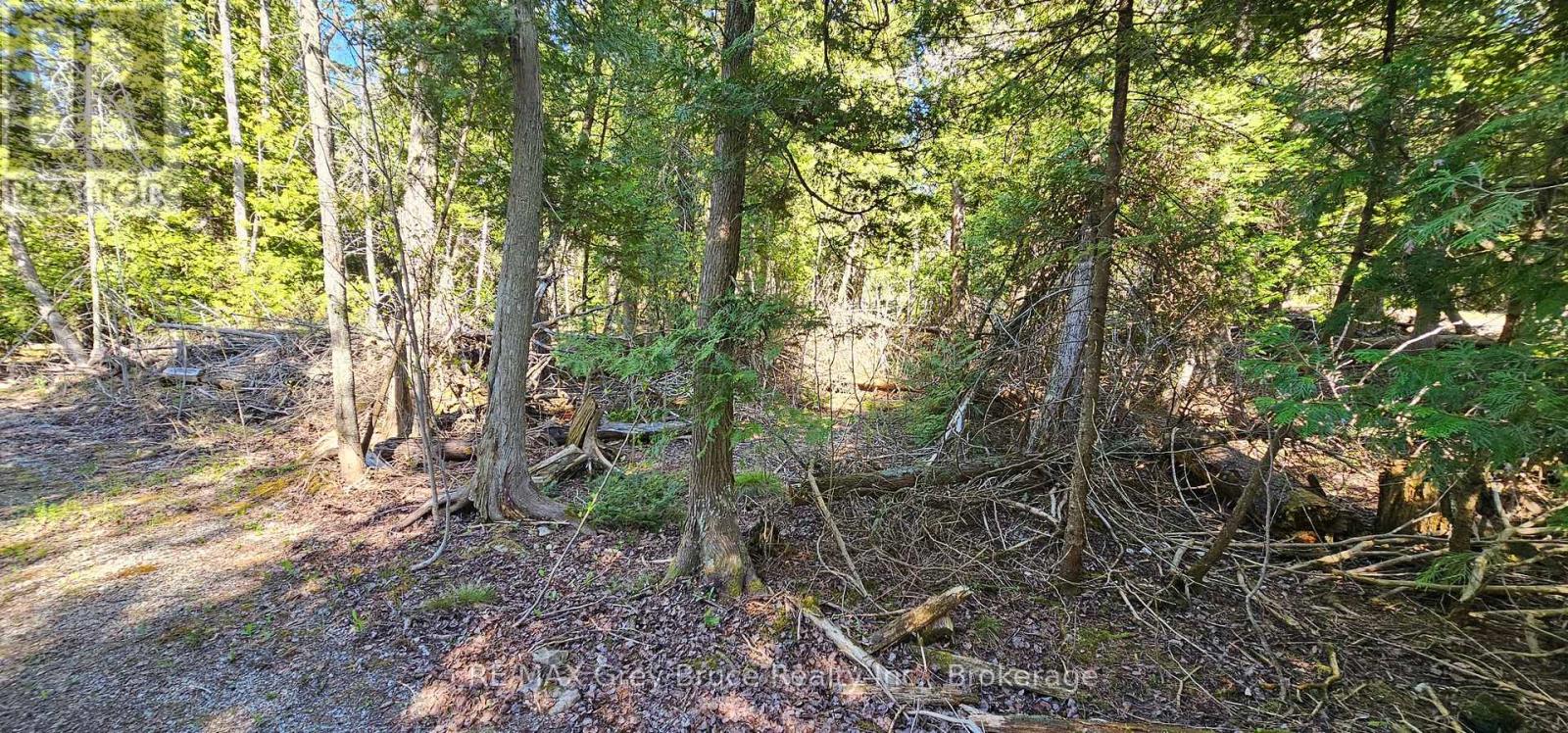 Plan 3m Walter Charman Drive, Northern Bruce Peninsula, Ontario  N0H 2M0 - Photo 25 - X12155872