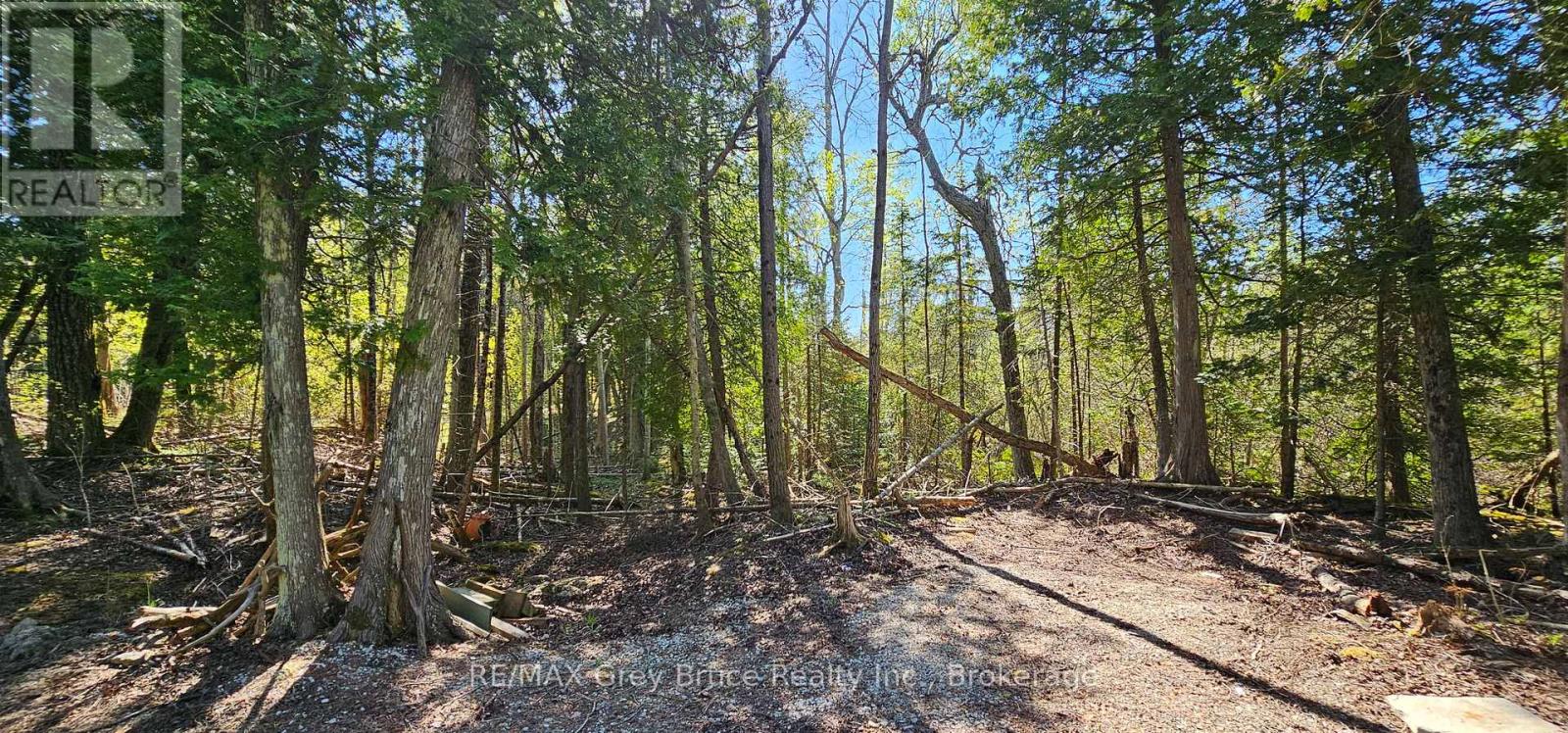 Plan 3m Walter Charman Drive, Northern Bruce Peninsula, Ontario  N0H 2M0 - Photo 29 - X12155872