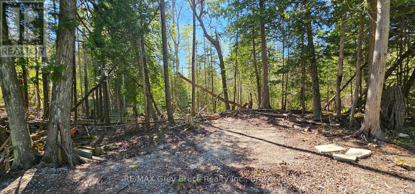 Plan 3m Walter Charman Drive, Northern Bruce Peninsula, Ontario  N0H 2M0 - Photo 26 - X12155872