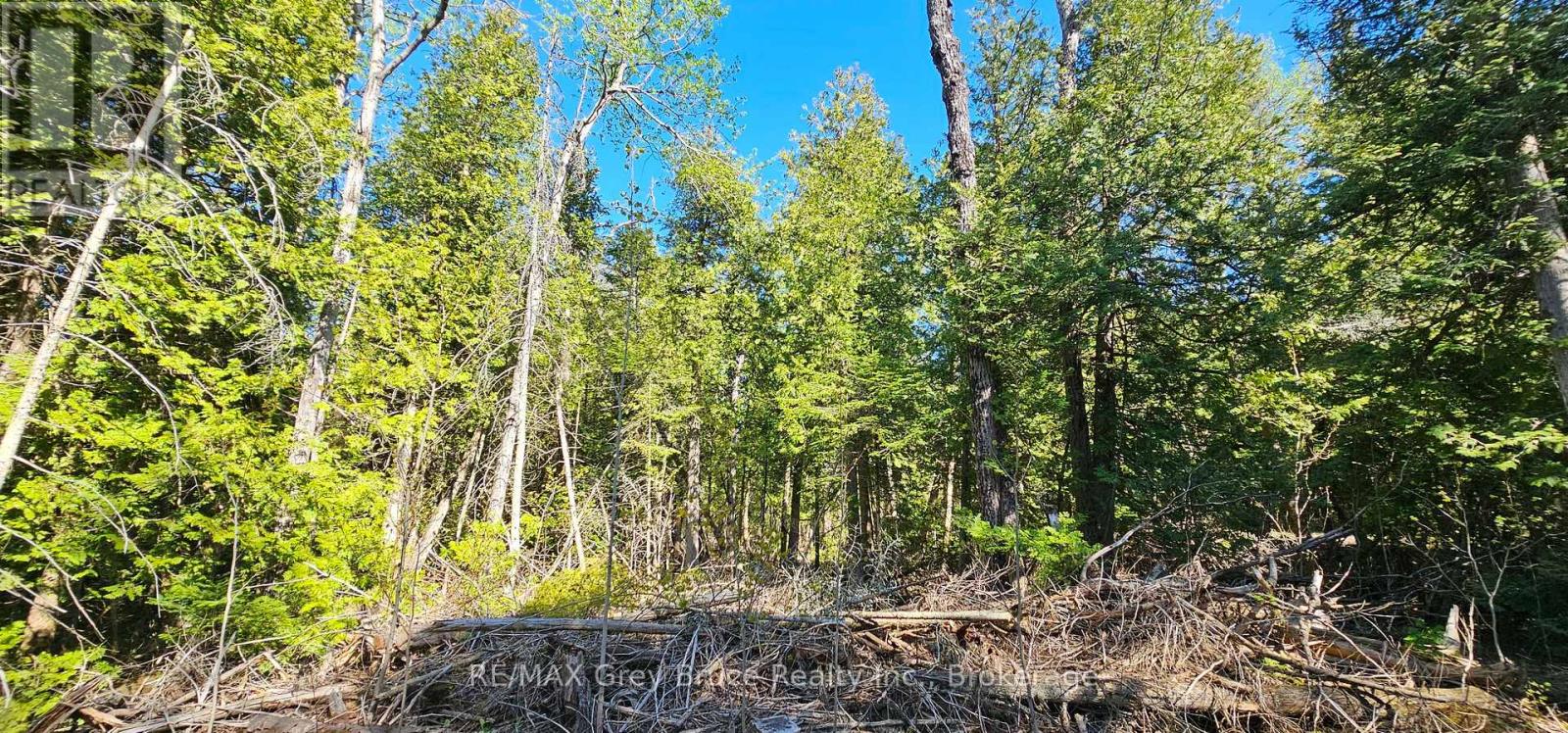 Plan 3m Walter Charman Drive, Northern Bruce Peninsula, Ontario  N0H 2M0 - Photo 27 - X12155872