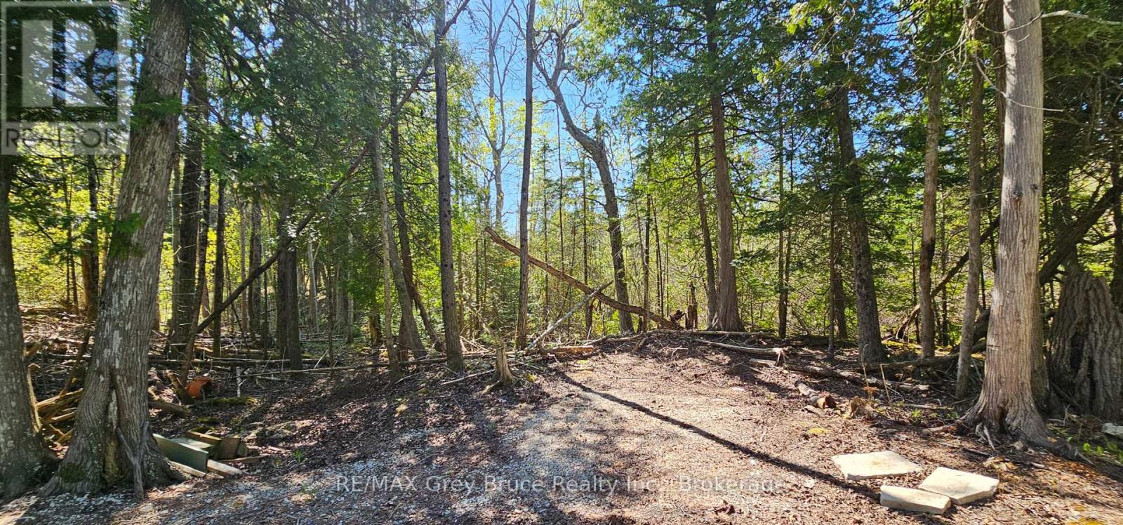 Plan 3m Walter Charman Drive, Northern Bruce Peninsula, Ontario  N0H 2M0 - Photo 30 - X12155872