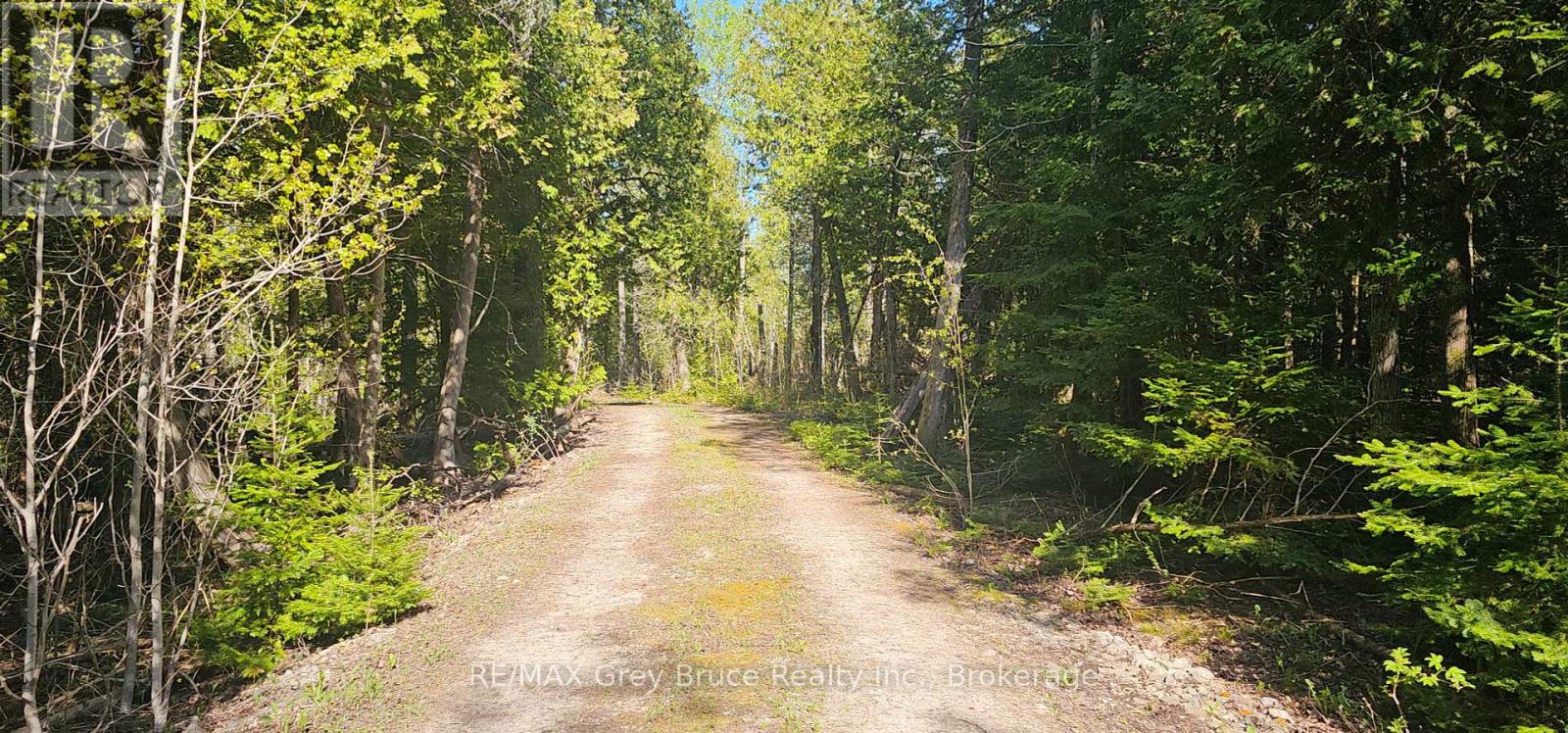 Plan 3m Walter Charman Drive, Northern Bruce Peninsula, Ontario  N0H 2M0 - Photo 33 - X12155872