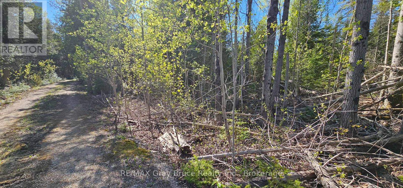 Plan 3m Walter Charman Drive, Northern Bruce Peninsula, Ontario  N0H 2M0 - Photo 35 - X12155872
