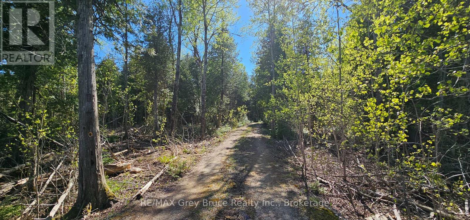 Plan 3m Walter Charman Drive, Northern Bruce Peninsula, Ontario  N0H 2M0 - Photo 37 - X12155872